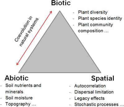 Experimental Evidence of Functional Group-Dependent Effects of Tree Diversity on Soil Fungi in Subtropical Forests